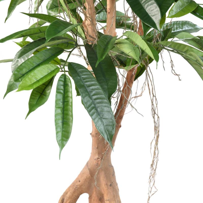 Ficus Artificiel Root Longifolia