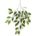 Ficus Artificiel Fat SPRAY *48