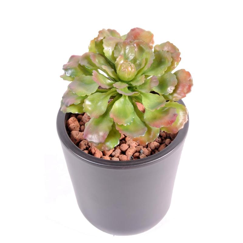 Succulent Artificiel Diam15
