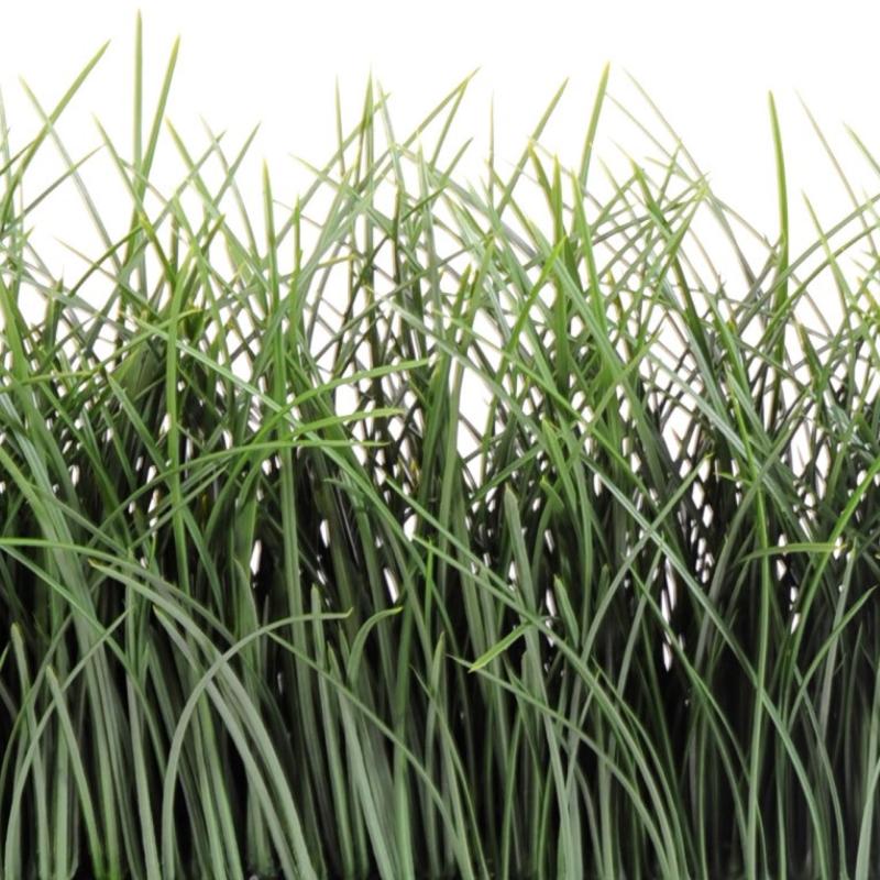 Herbe Haute Artificielle