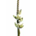 Banane Artificielle Régime Fleur