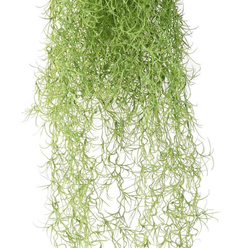 Tillandsia artificiel (mousse espagnole)