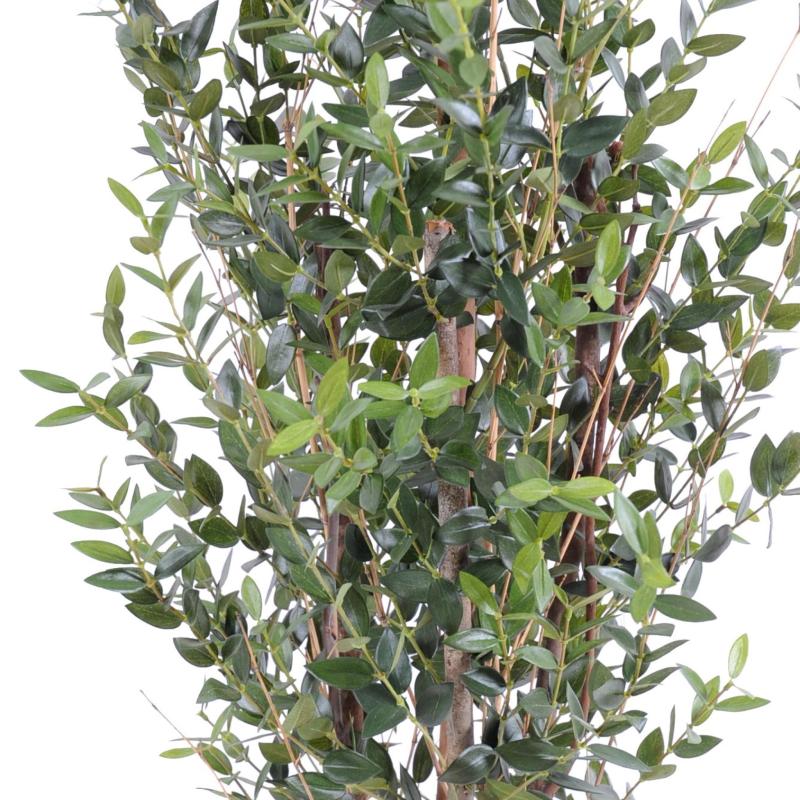 Eucalyptus Artificiel Buisson 130 CM