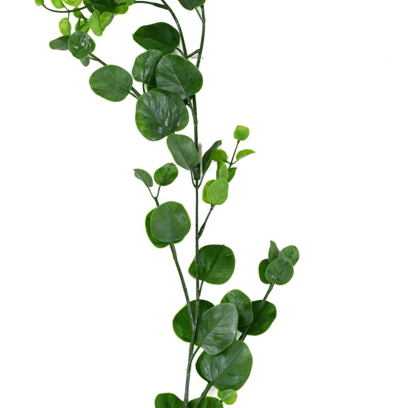 Eucalyptus Artificiel Guirlande 160 cm