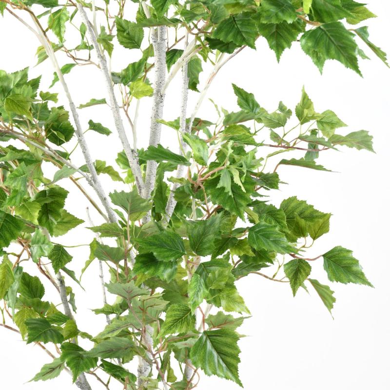 Bouleau Artificiel Verruqueux