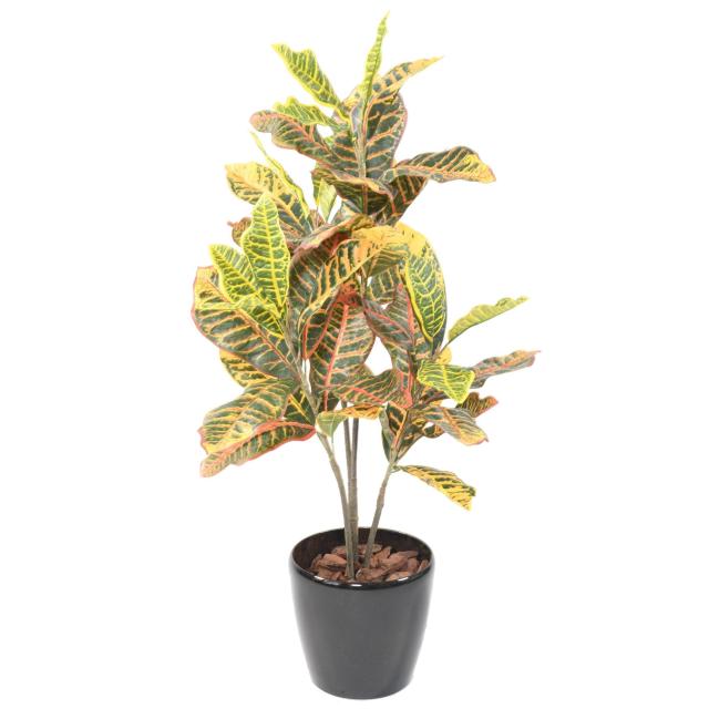 Croton 100 Artificiel