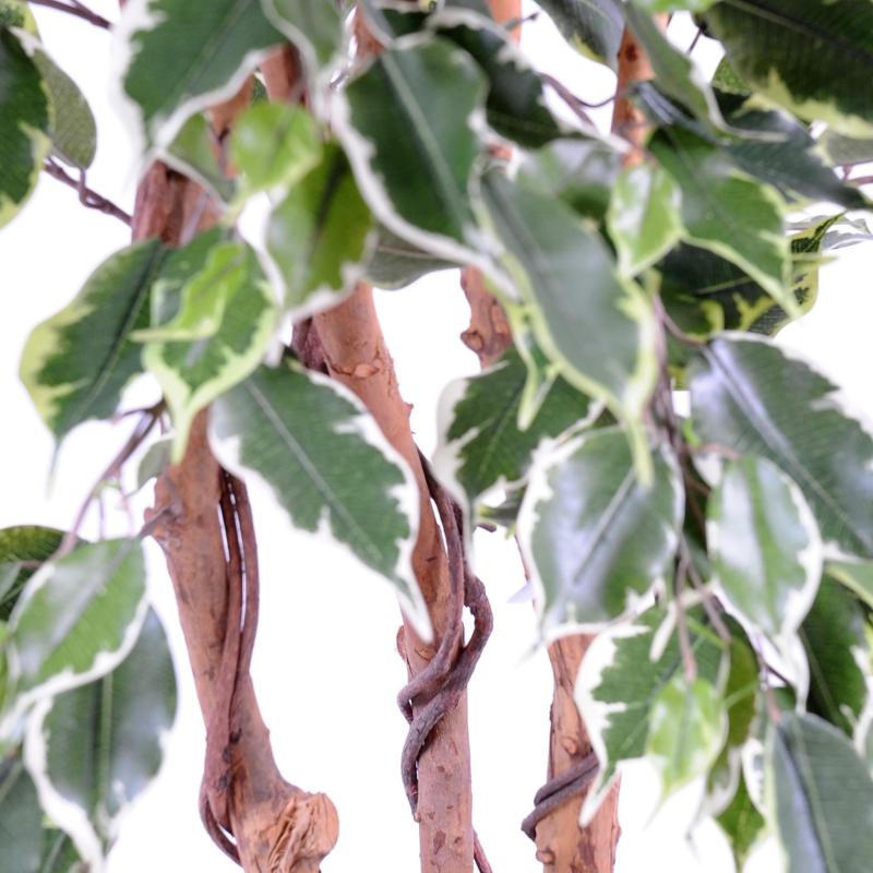 Ficus Artificiel Exotica
