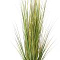 Onion Grass Artificiel Bambou