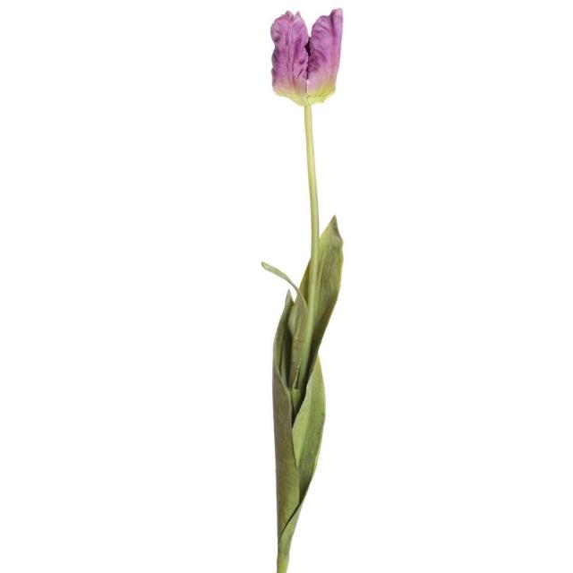 Tulipe Artificielle Parrot