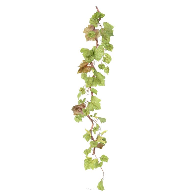 Vigne Artificielle Branche