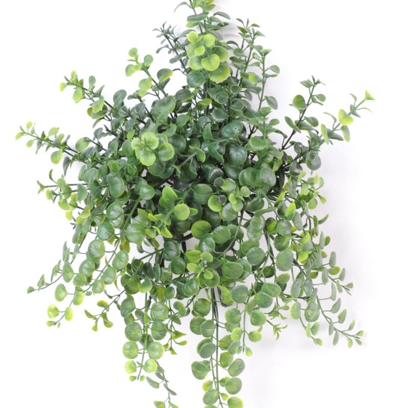 Peperonia Artificiel Chute PLAST