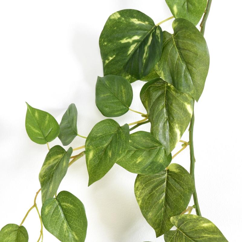 Pothos Artificiel Guirlande