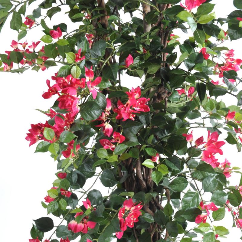 Bougainvillee Artificiel NEW Lianes