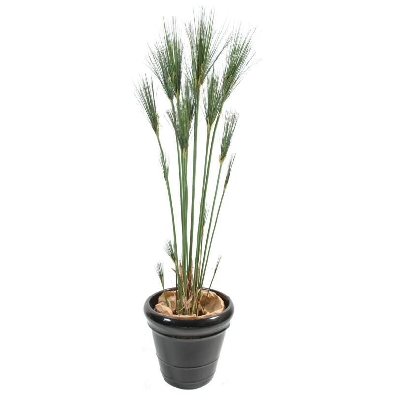 Papyrus Artificiel Cyperus