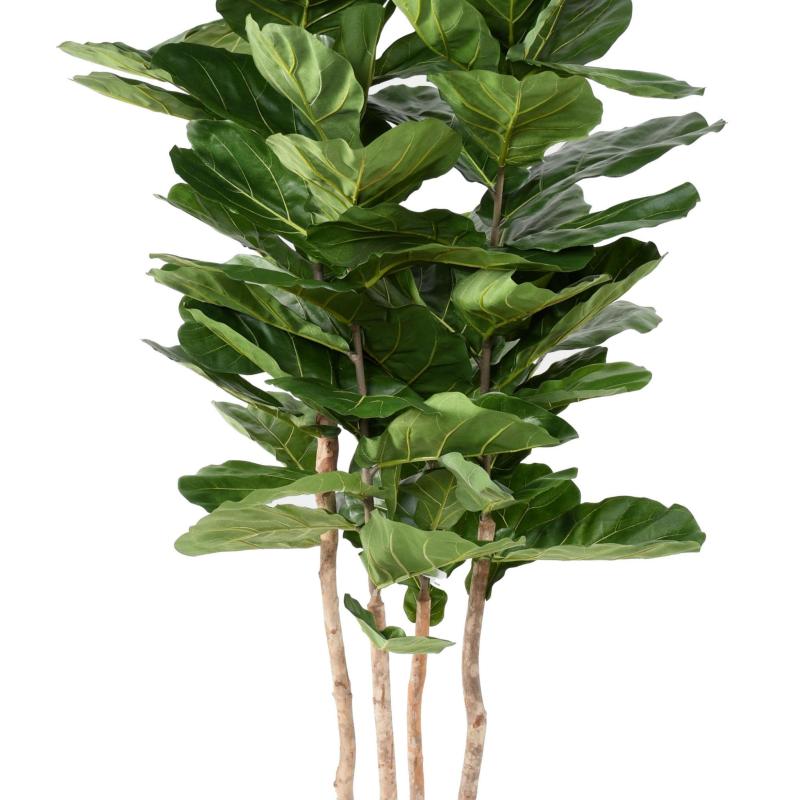 Lyrata Artificiel Multi GF