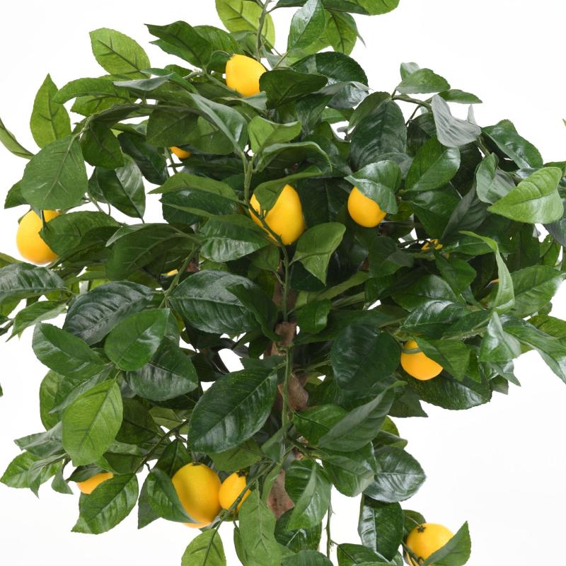 Citronnier Artificiel Tete