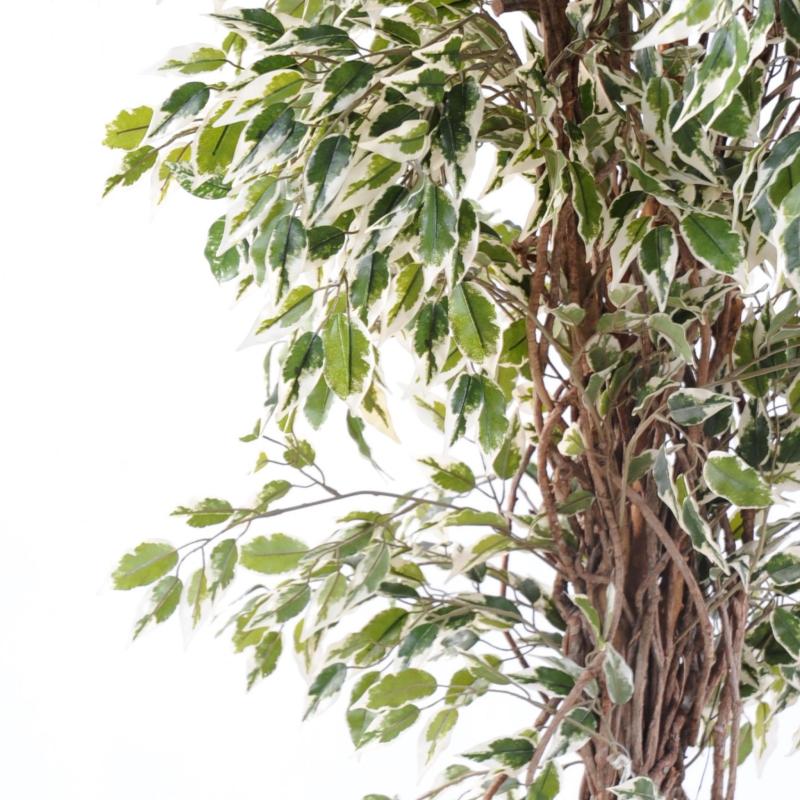 Ficus Artificiel Lianes Petites Feuilles