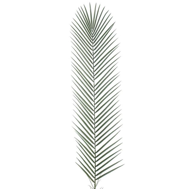 Phoenix Artificiel Palm Plastique 135
