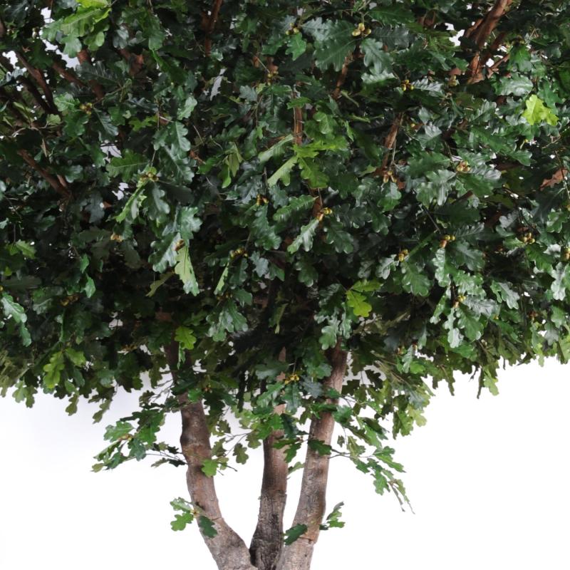Chêne Arbre Artificiel