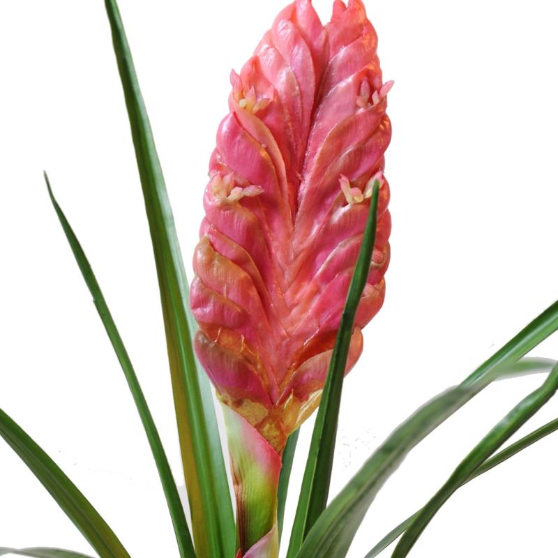 Tillandsia Artificiel Bulbosa