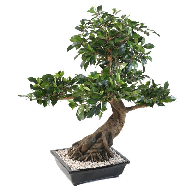 Bonsai Artificiel Ficus en Coupe