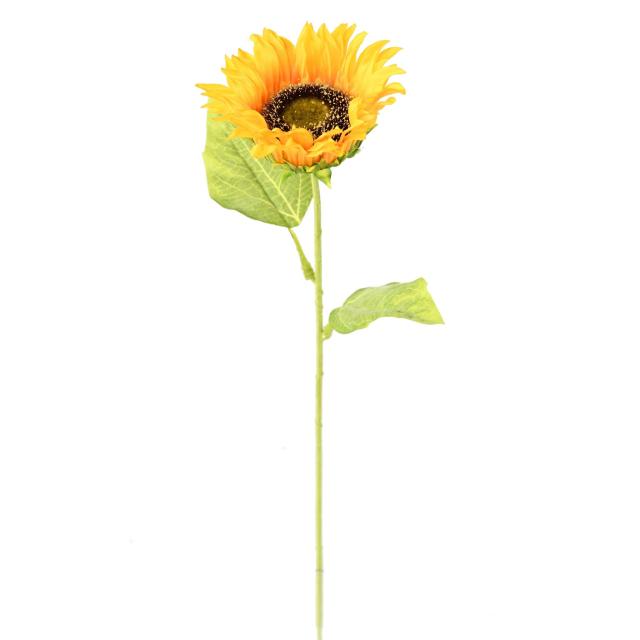 Tournesol Artificiel 66