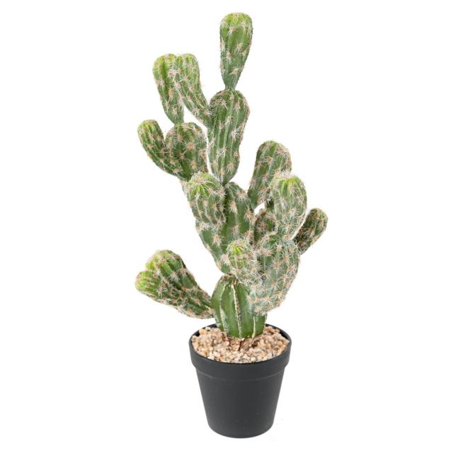 Cactus Artificiel Echinocereus