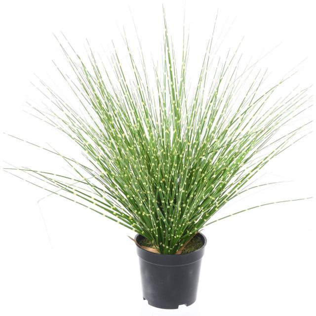 Miscanthus Artificiel Sinensis Zebrina