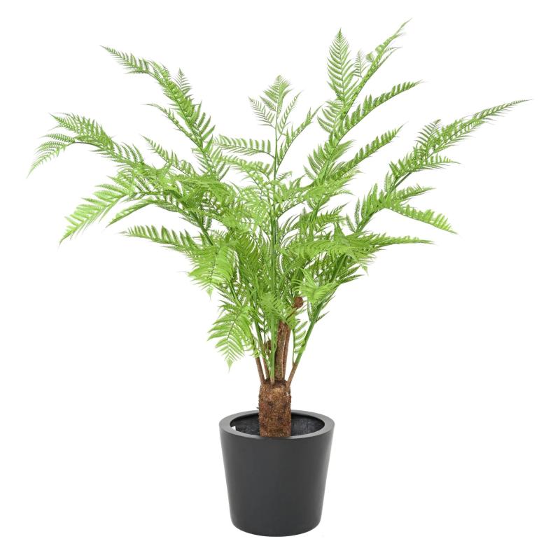 Dicksonia Artificielle (fougere)