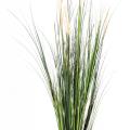 Carex Artificiel GF