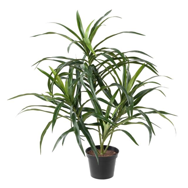 Dracena Artificiel Anita (draceana)