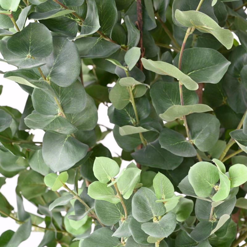 Eucalyptus Artificiel Gunnii Buisson