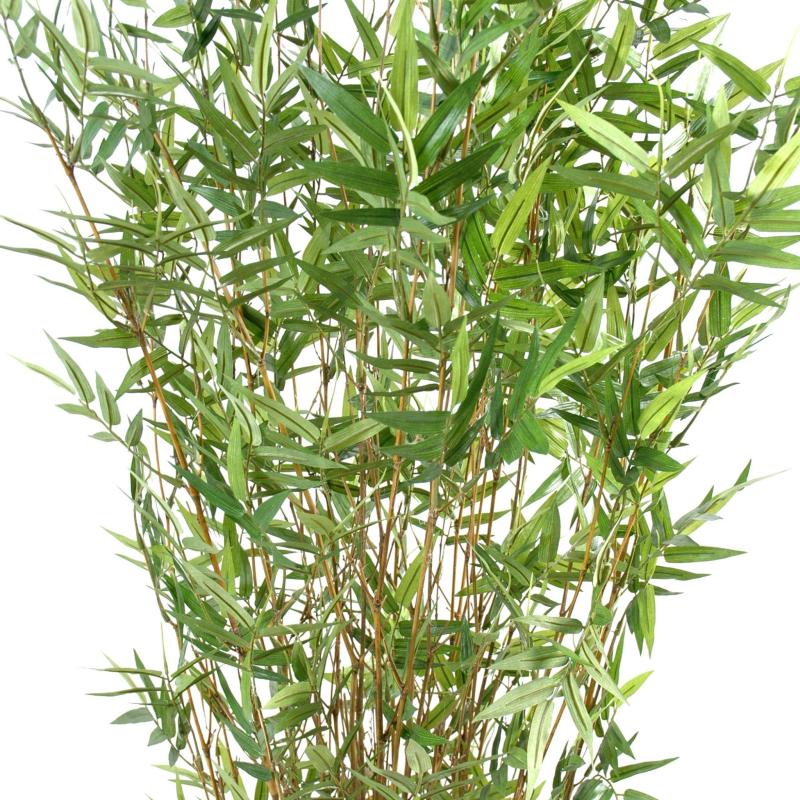 Bambou Artificiel Multitree Oriental