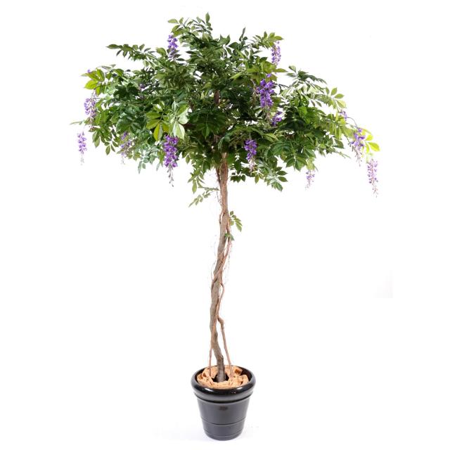 Glycine Artificiel Round