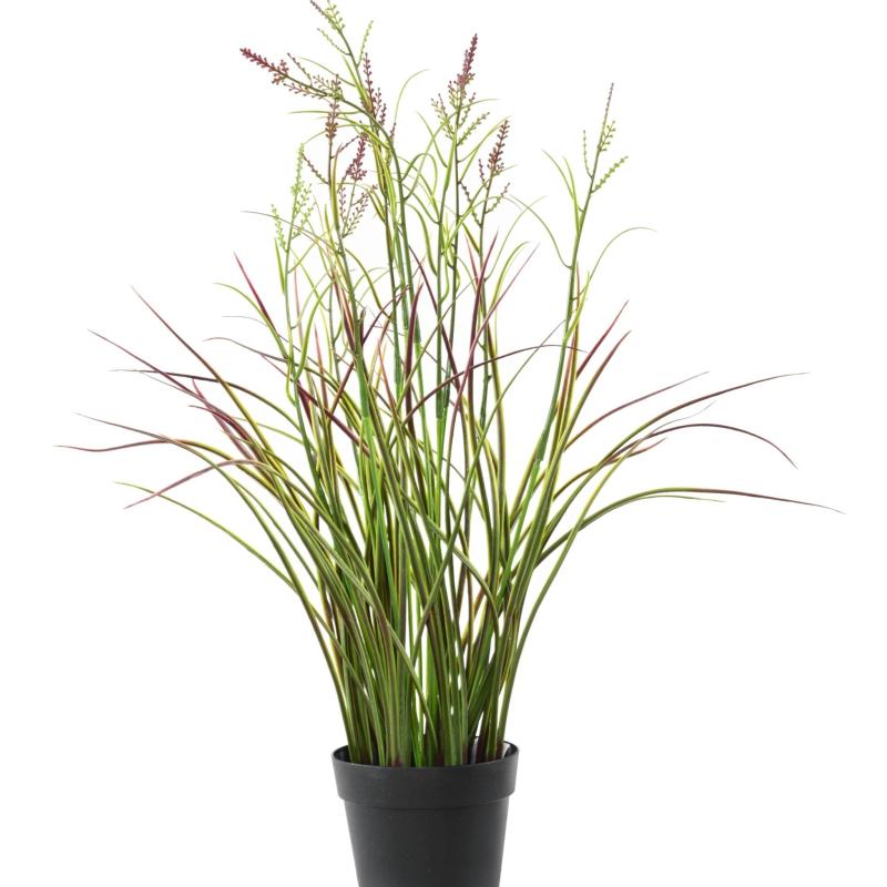 Acorus Artificiel Fleuri Pot