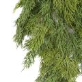 Cypres Artificiel SPRAY