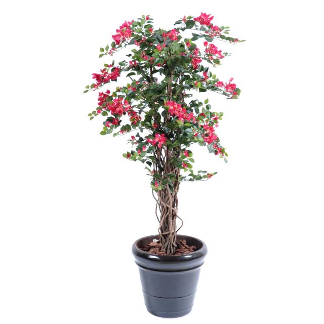 Bougainvillee Artificiel NEW Lianes