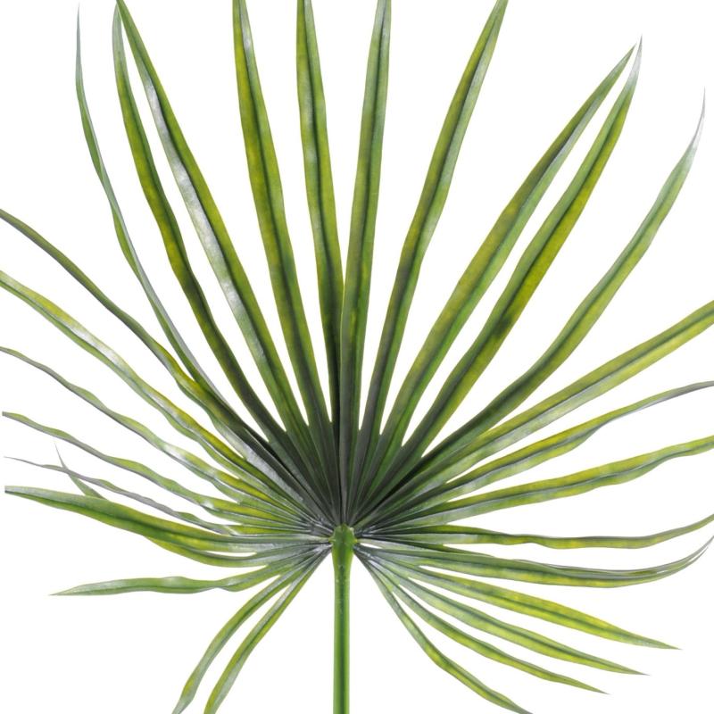 Camerus Artificiel Palm PLAST