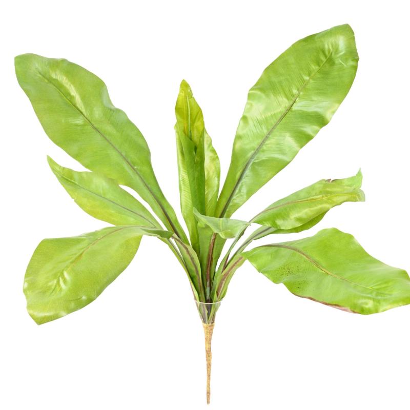 Asplenium S Artificiel