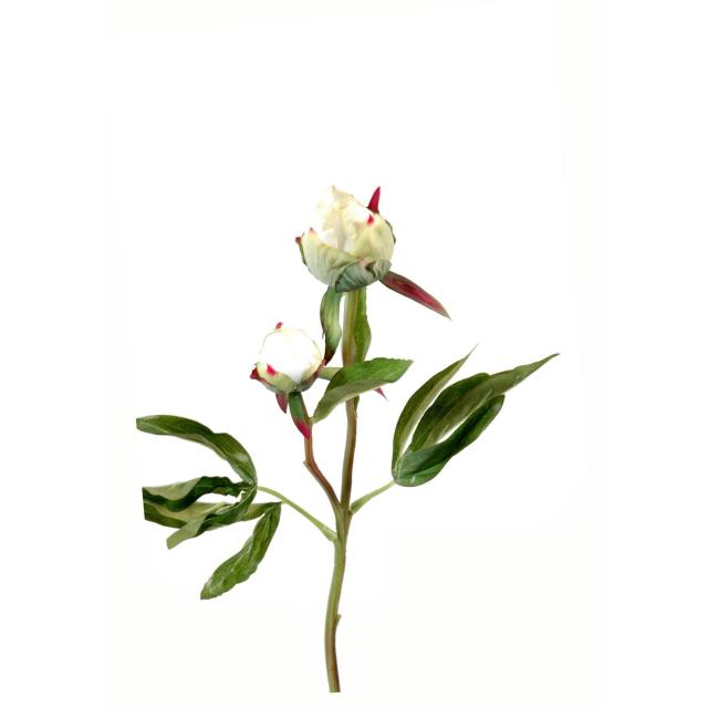 Pivoine Artificielle Bouton *2 Fresh Touch