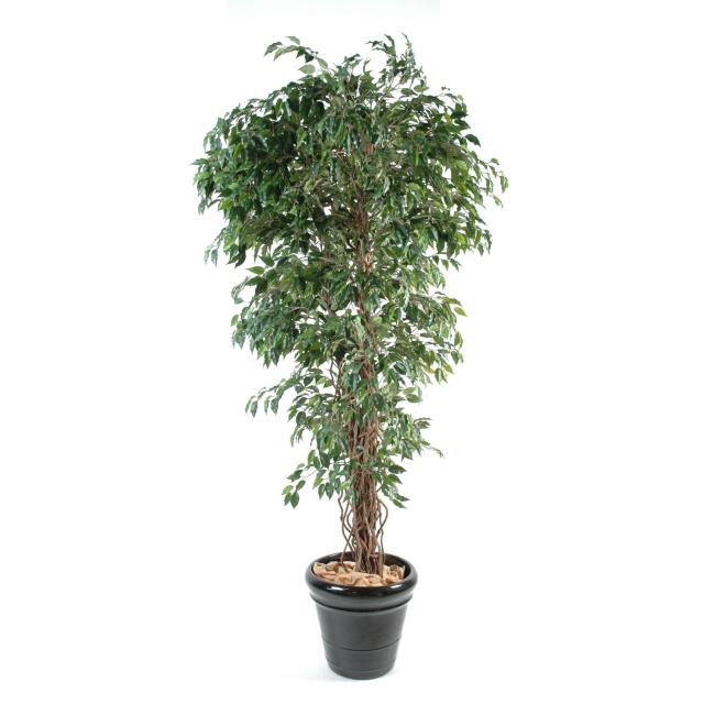 Ficus Artificiel Lianes Petites Feuilles