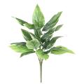 Hosta Artificiel*18