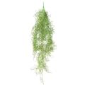 Tillandsia Artificiel Chute