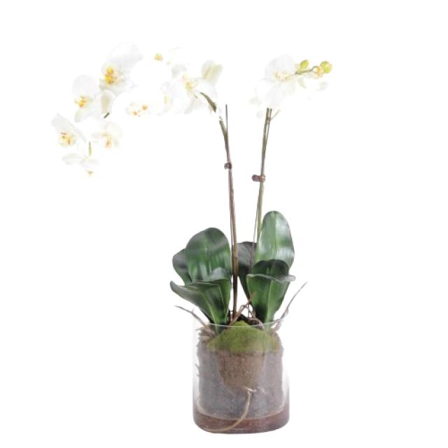 Phalaenopsis Artificielle Vase Rond