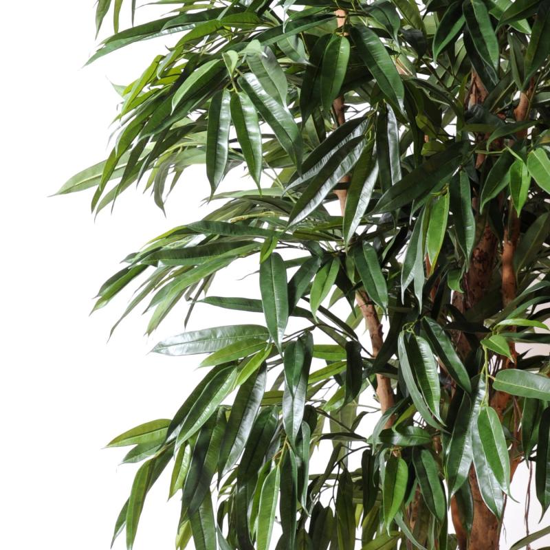 Ficus Artificiel Alii Royal