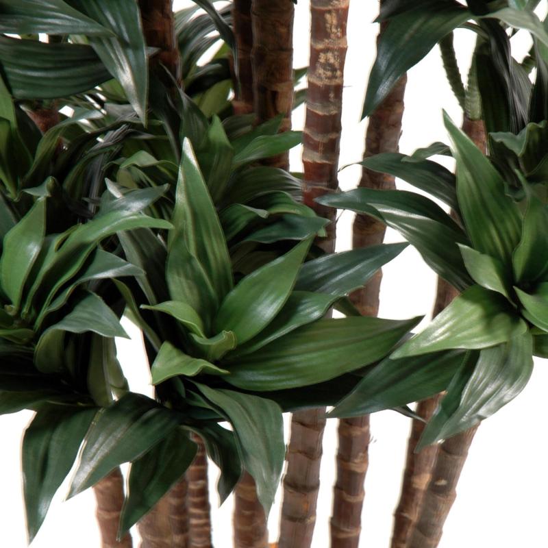 Dracaena Artificiel Fragrans Compacta