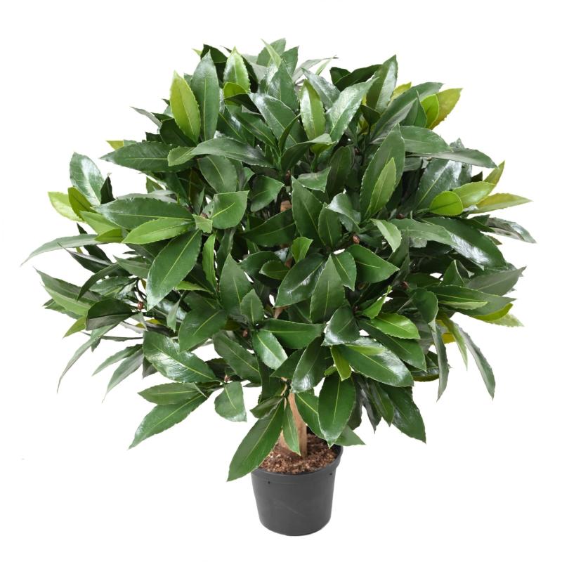 Laurier Artificiel Boule Nobilis