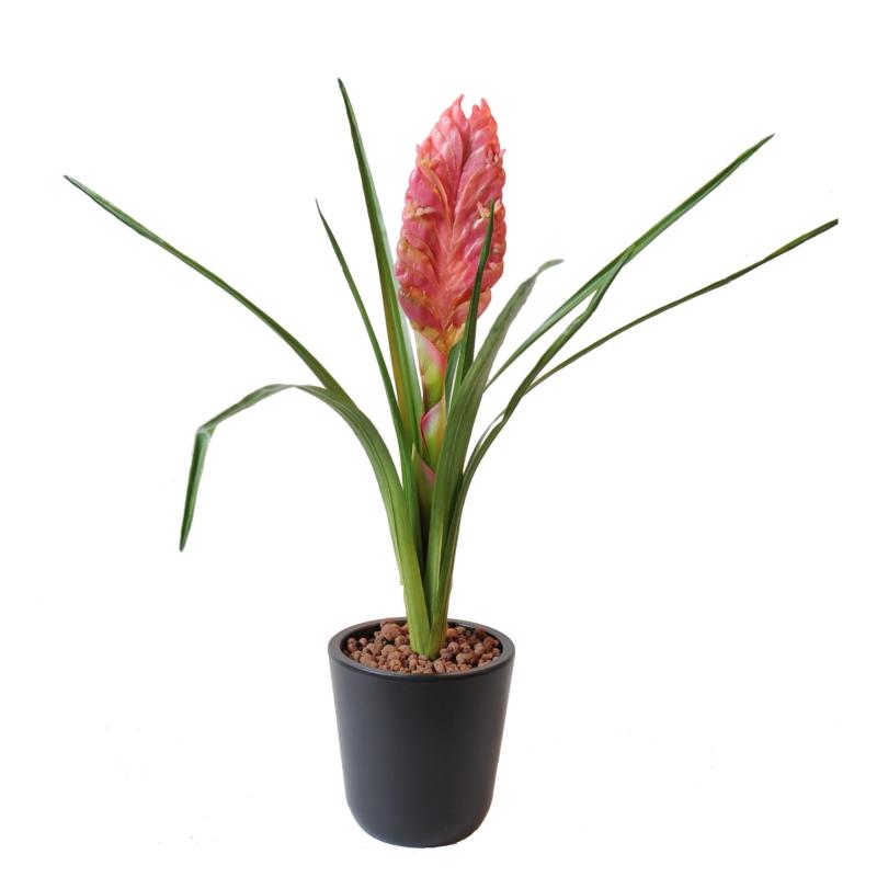 Tillandsia Artificiel Bulbosa