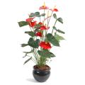 Anthurium Artificiel *9 en Pot