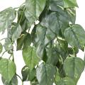 Pothos Artificiel Chute UV